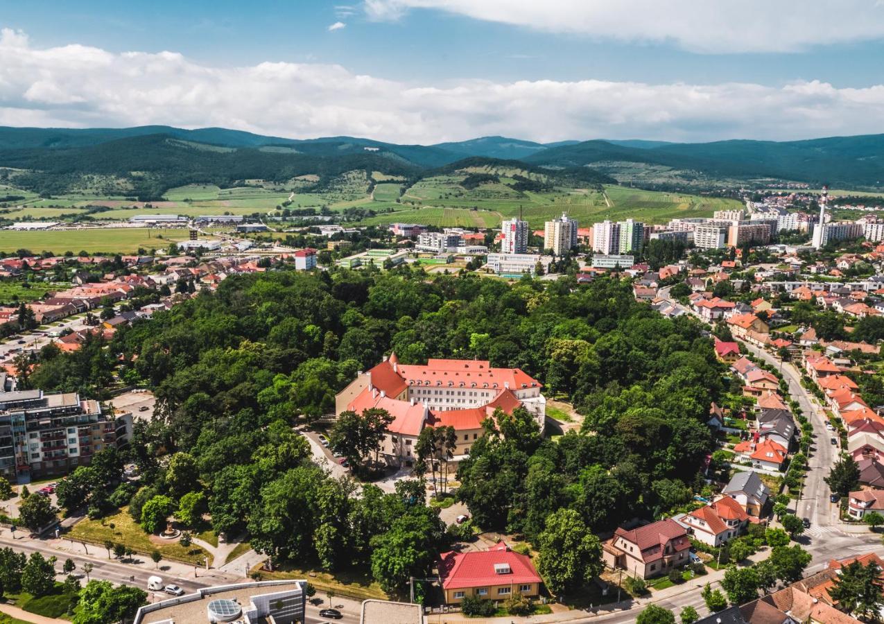 Palace Art Hotel Pezinok Buitenkant foto